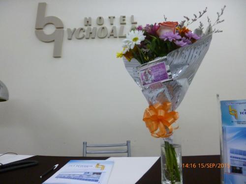 Hotel Ychoalay Caz