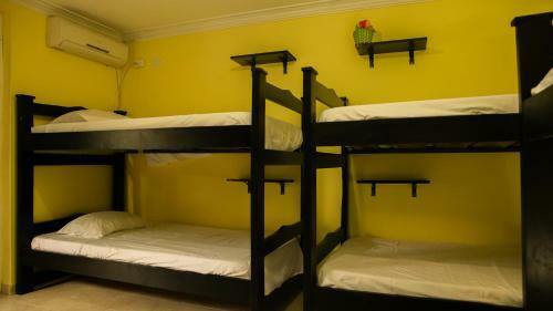 Albergue Big V Raizal Home