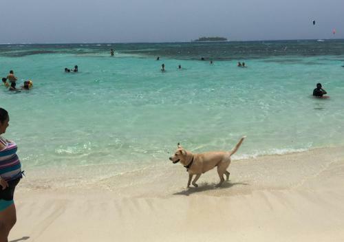 Apartamento Vacacional San Andres I