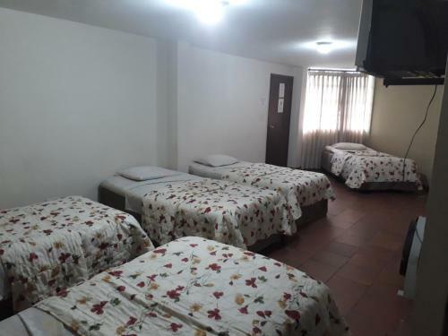 Hotel Ilama