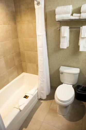 Hotel Best Western Plus Service Inn & Suites