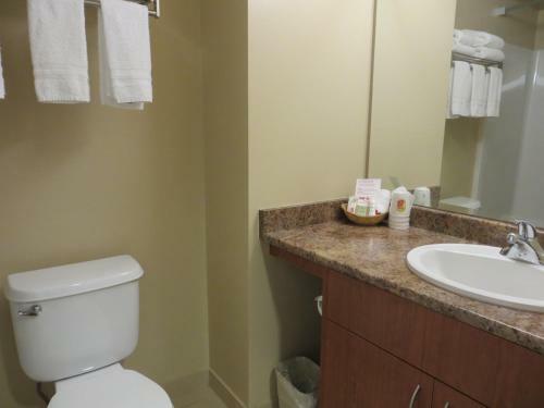 Hotel Super 8 By Wyndham Abbotsford Bc