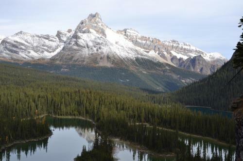 Yoho Chalets