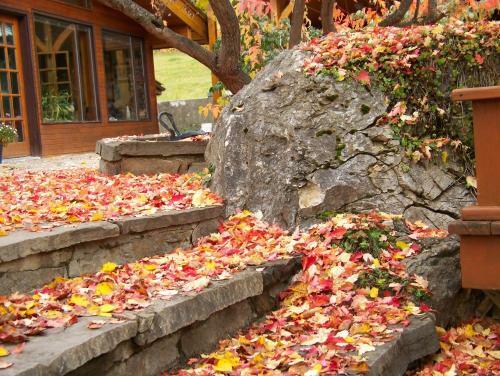 Bed & Breakfast Kapristo Lodge