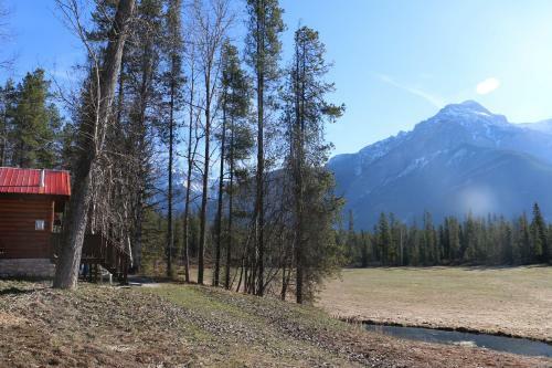 Rocky Mountain Cabins And Home