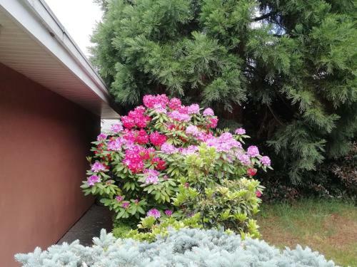 Lido Family Guest House