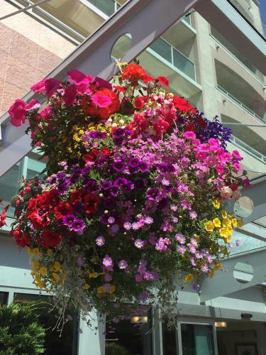 Best Western Plus Inner Harbour Hotel