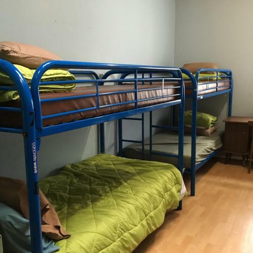 Turtle Hostel