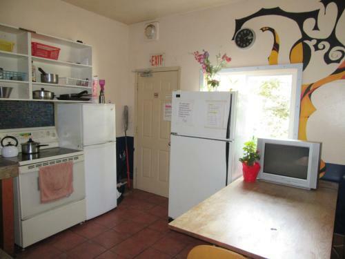Turtle Hostel