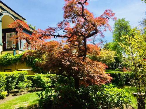 Beaconsfield Bed And Breakfast - Victoria