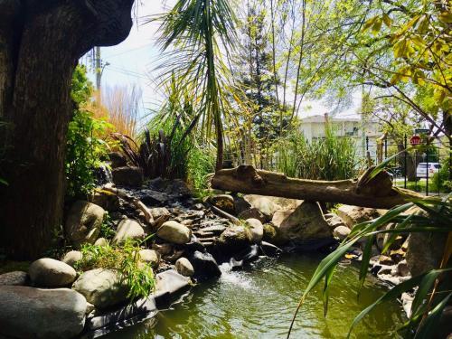 Beaconsfield Bed And Breakfast - Victoria