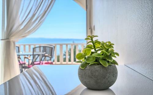Apartamentos Stipe Residence