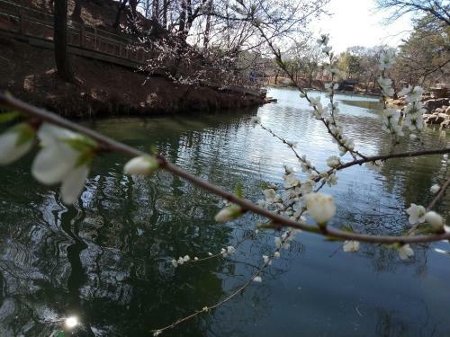 Hotel Chengde Xinxin Inn