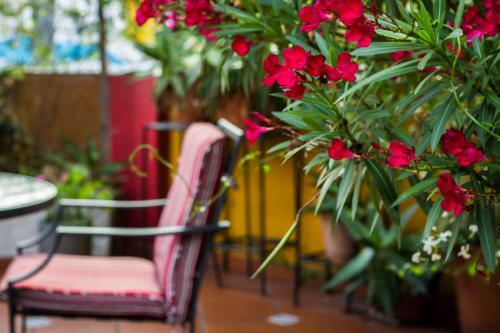 Bed & Breakfast Abode Buenos Aires