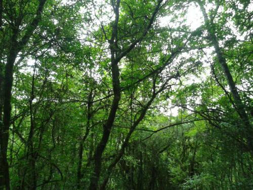 Relax En La Monta�a