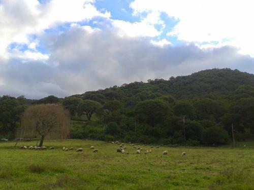 Relax En La Monta�a