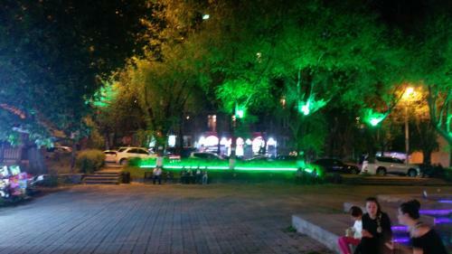 Apartment On Sayat-nova Street