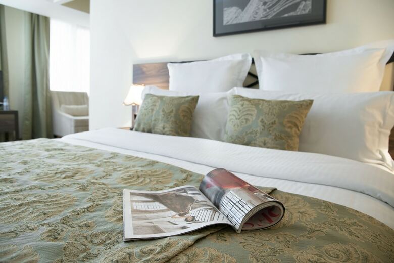 Ani Plaza Hotel