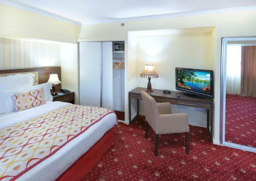 Ani Plaza Hotel