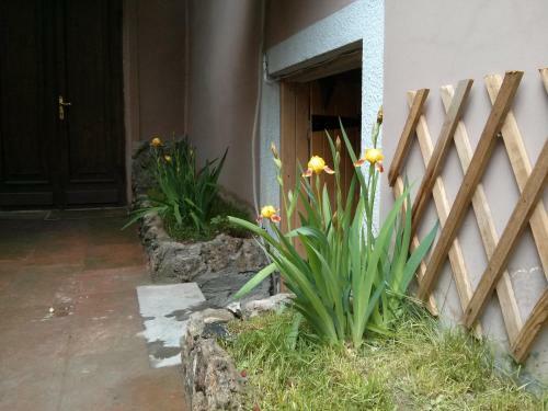 Hin Yerevantsi Hotel