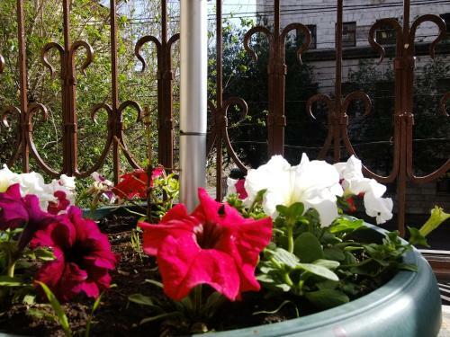 Yerevan Center Apartment 5a