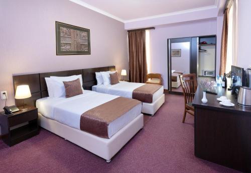 Hotel Ani Central Inn
