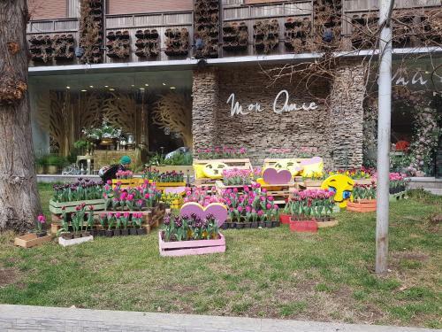 Apartment In Center Of Erevan