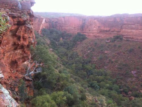 Hotel Kings Canyon Resort