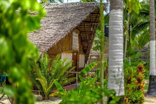 Albergue Scandal Travel