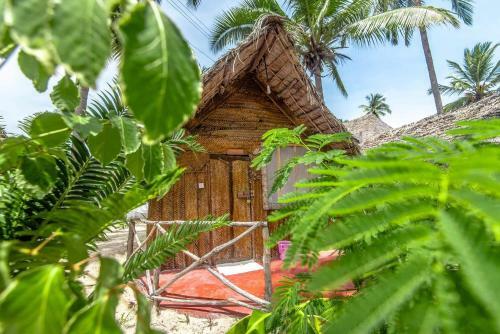 Albergue Scandal Travel