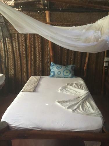 Albergue Scandal Travel
