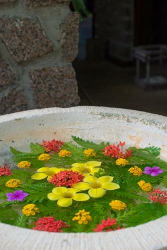 Hostal Chalets Cote Mer