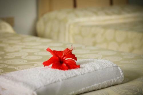 Apartamento Hide Away