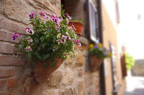 Apartamento La Paterna Di Rigomagno