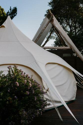Wild Forest Estate Glamping