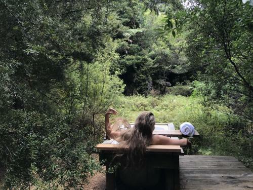 Wild Forest Estate Glamping