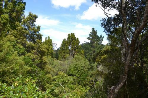 Wild Forest Estate Glamping