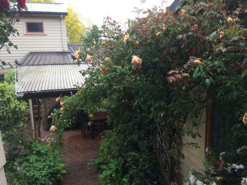 Bed & Breakfast Waitomo Caves Guest Lodge
