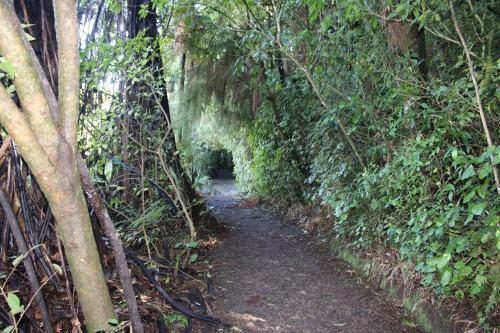 Bed & Breakfast Waitomo Caves Guest Lodge
