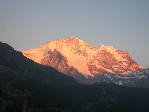 Hotel Bellevue-wengen