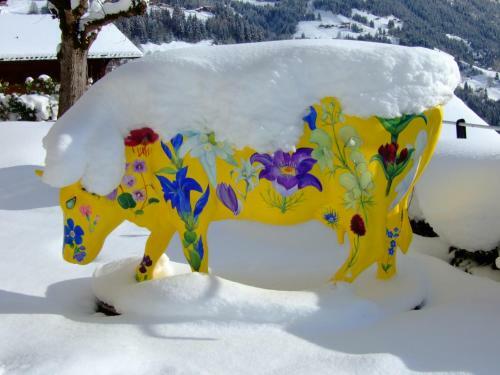 Hotel Bellevue-wengen