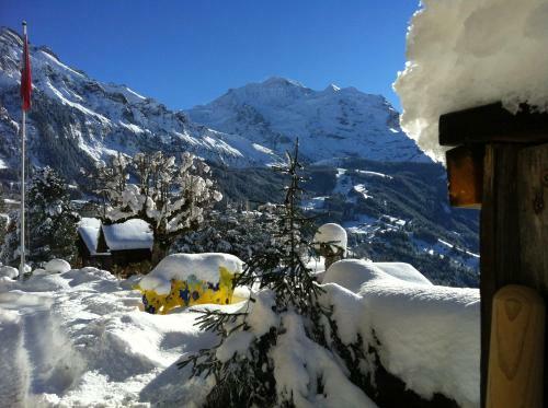 Hotel Bellevue-wengen