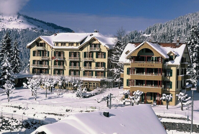 Hotel Falken