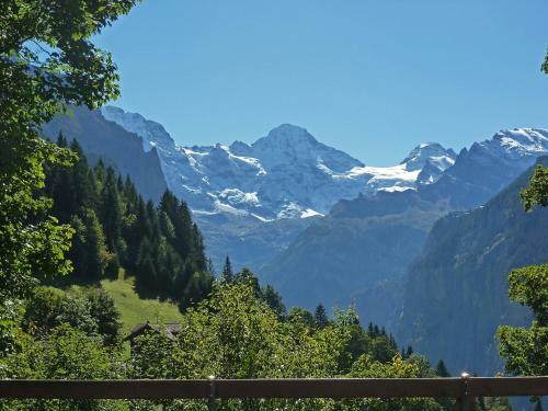 Apartment Schweizerhof.1
