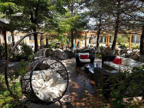Dreamland Apartments Oasis