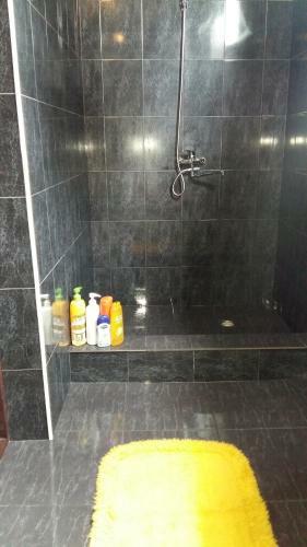 Apartment On Rustaveli 166a