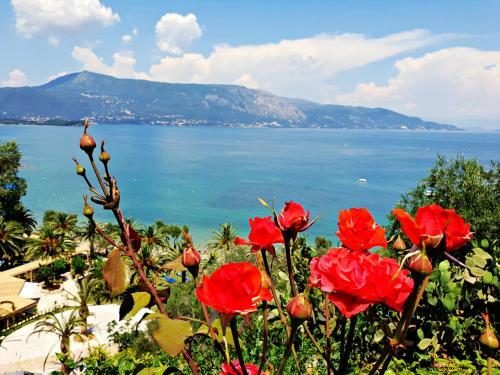 Hostal Dimitra Apartments K