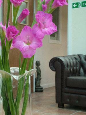 Hostal Gatwick House