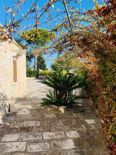 Agroturismo I Trulli Di Badi
