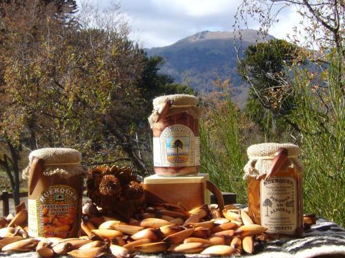Lodge Caba�as Huerquen